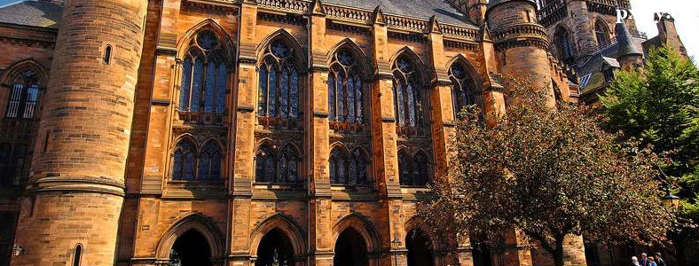 Ӣ����ѧ�������ϸߵ�רҵ����Щ