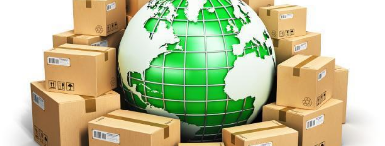 �����������п�Ŀ��ʲô