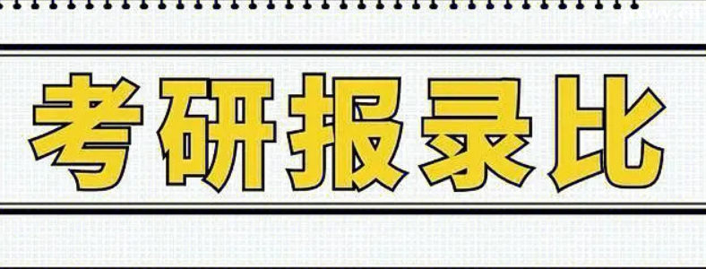 ��ô�鿼��ѧУ��¼��