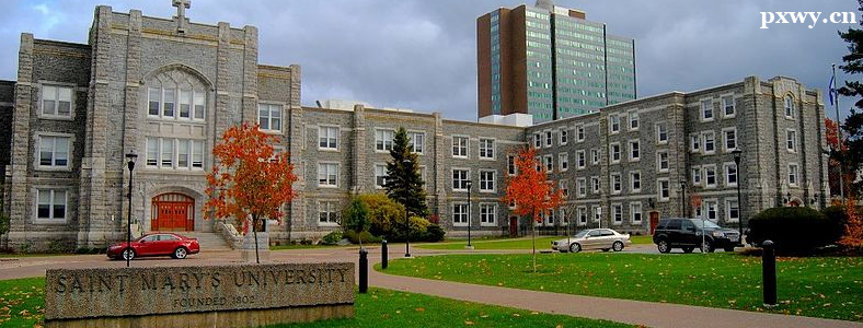 ���ô���ѧ��ҵǰ���õ�רҵ����Щ