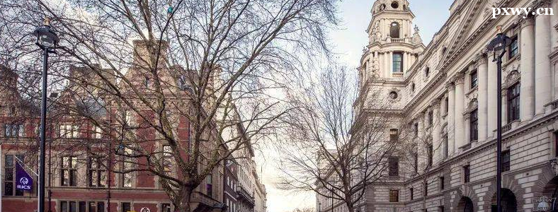 ȥӢ����ѧ�����ƺ���