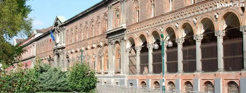 ȥ�������ѧ��ʲôרҵ��