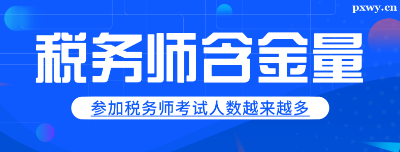 ��˰��ʦ֤�麬��������