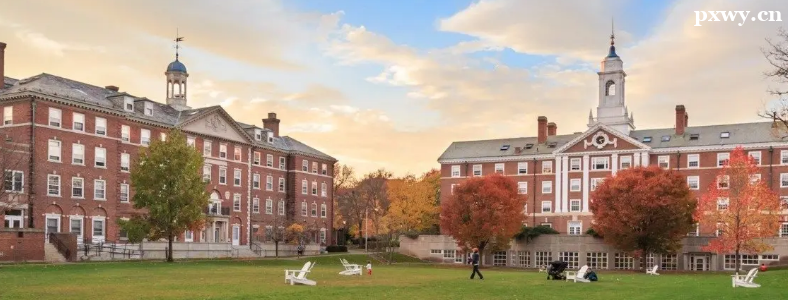 Ӣ����ѧ��Ҫ��˼�ɼ���