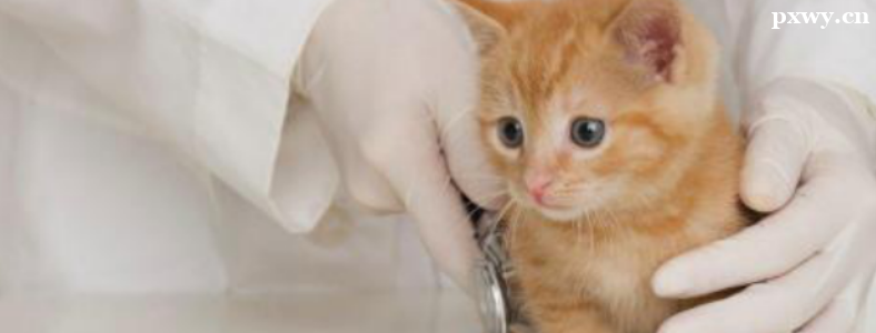 ����ҽѧרҵ���о�ҵ����