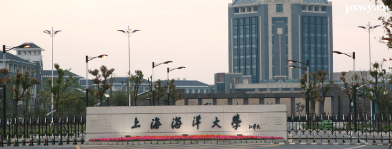 �������רҵ�����Ѷȴ���