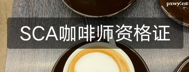 ����SCA����ʦ��֤��ѵ��������