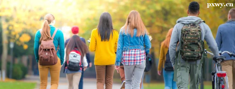 ������������ѧ����Щ����