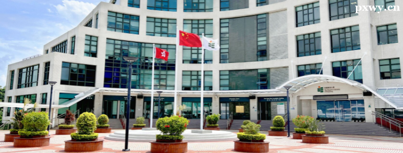 �߿�����ô������۽�����ѧ����