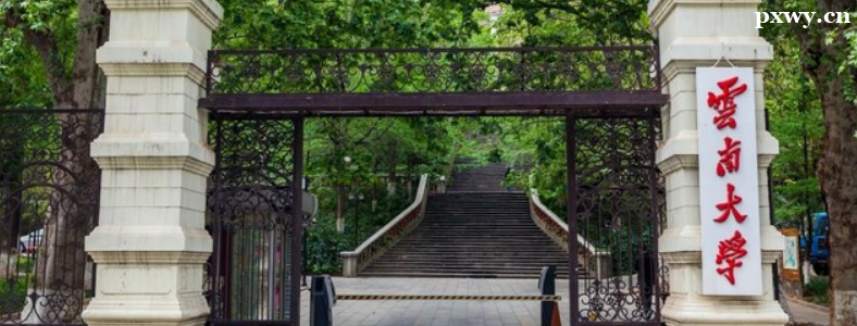 ��������������������п�Ŀ��ʲô