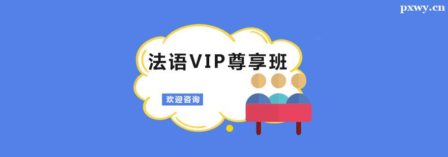 ����VIP������ѵ��