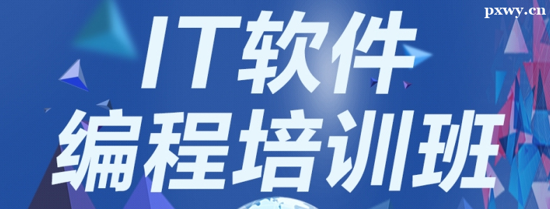 IT��ѵ�����ĸ�����ôѡ