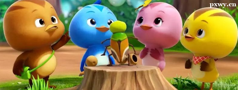 �������ʦ��Ҫѧʲô֪ʶ