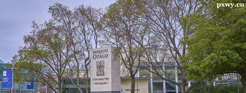 �������ѧ�о�����������