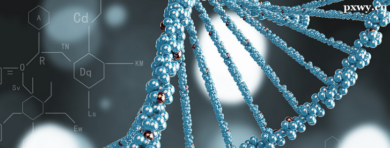 �����ѧ���п�Ŀ