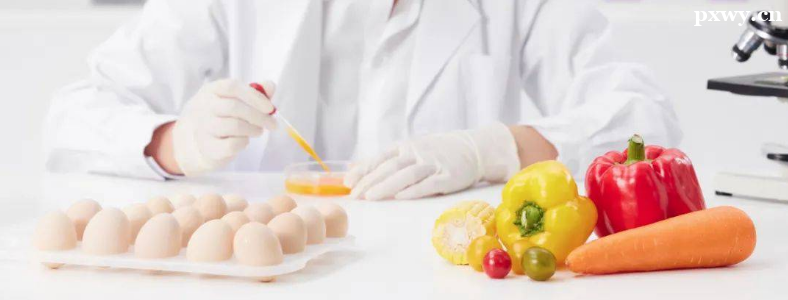 ������Ӫ��ʦ������ô��