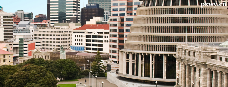 ��������ѧԺУ����רҵ����Щ