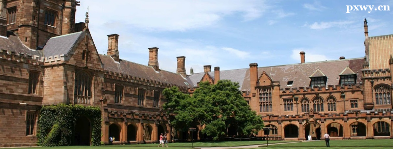 ȥ������ѧҪʲô����