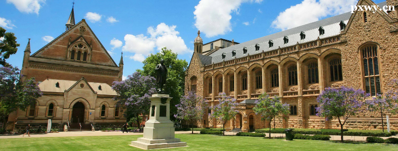 ������ѧ�н�ѡ���ĸ�����