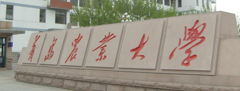 ũҵ���ù������п�Ŀ