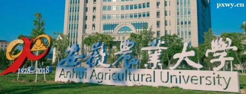 ũҵ���ù������п�Ŀ