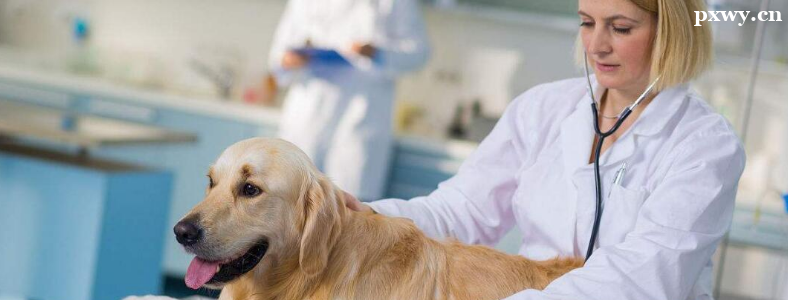 ��ҽѧ���з���