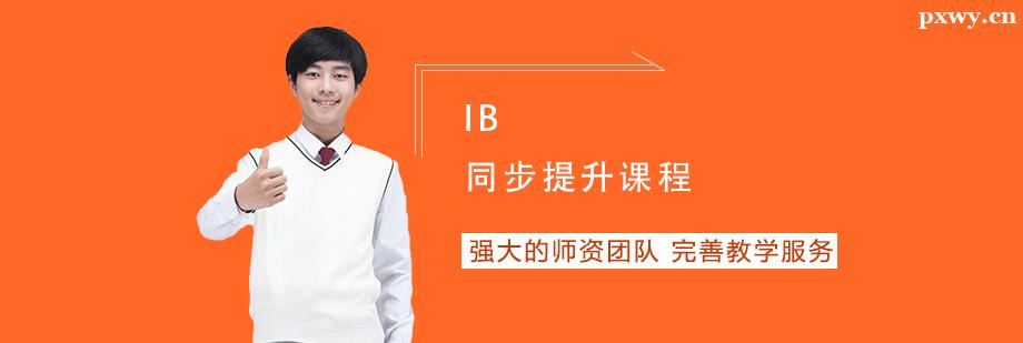 IBͬ�������γ���ѵ