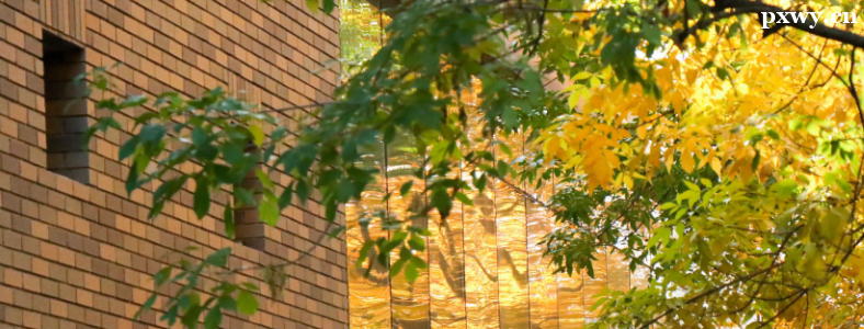 ������Уѡרҵע������