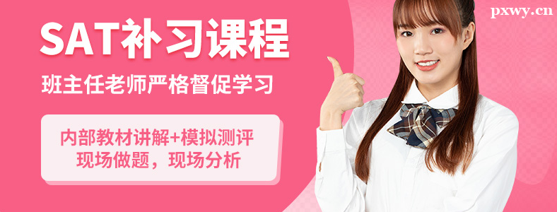 ���SAT��ѵ�γ�����Щѡ��