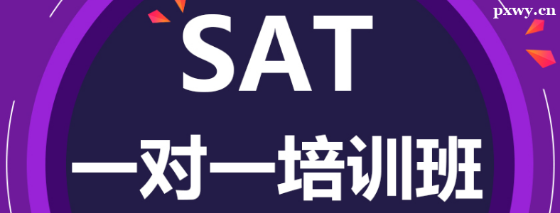 ���SAT��ѵ�γ�