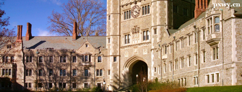 出国留学rp是什么意思