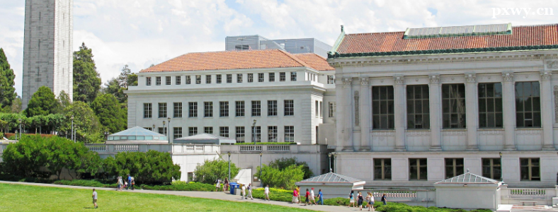 ������ѧrp��ʲô��˼