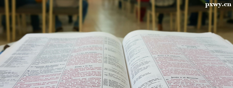 �и����Ĵʻ���ô���Ŀ�