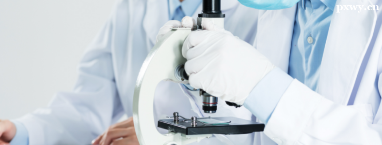 ������ҩרҵ���з���