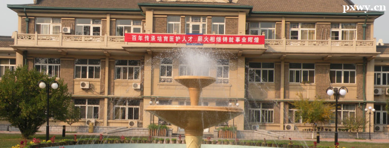 2023�����ҽѧ�ߵ�ר��ѧУ�����߿�������רҵ�ƻ���