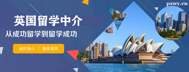 ����Ӣ����ѧѡ���н��������ʲô