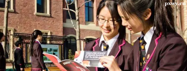 ��ݸ���ʸ�����ѧ������ʲô