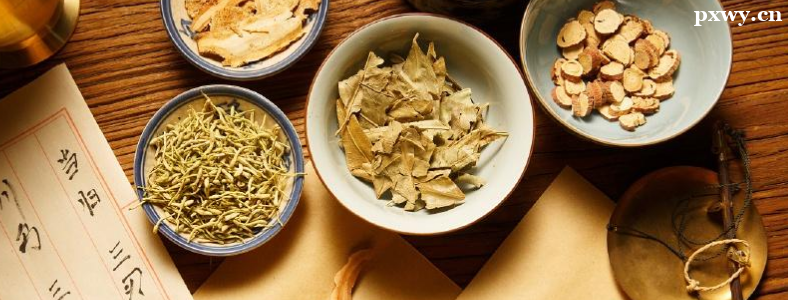 ��ҩѧרҵ��������