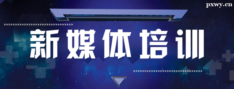 ��ý����ѵ�γ�����Щ����