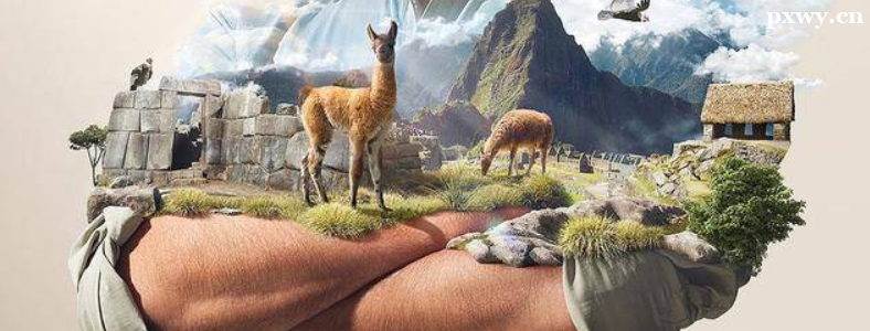 ƽ�����Ϊʲô��ô�ܻ�ӭ