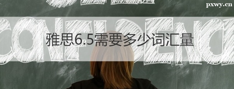 ��˼6.5�ʻ���Ҫ�ﵽ����