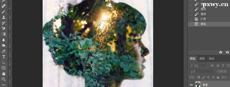 �����ѧPS�����ѧ����