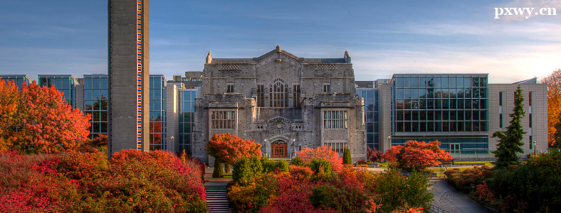 Ϊʲô���ô��̿ƺ͹���רҵ�ܻ�ӭ