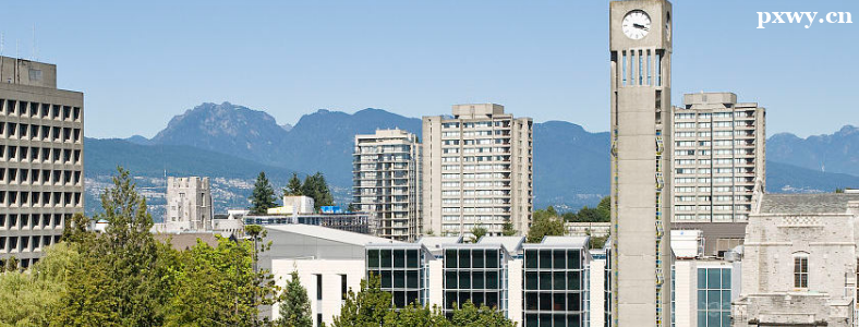 Ϊʲô���ô��̿ƺ͹���רҵ�ܻ�ӭ