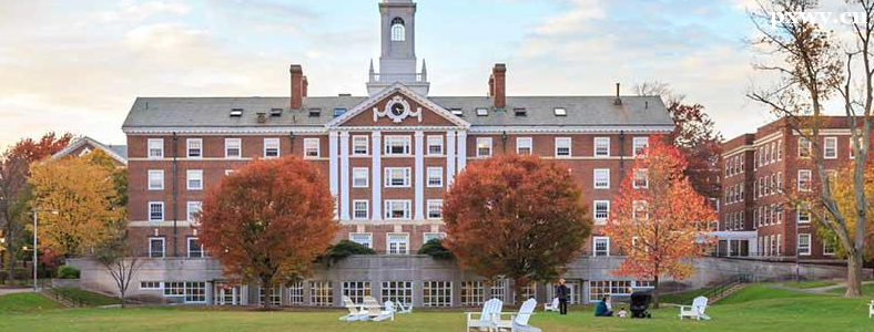 ȥ������ѧ��������ʲô