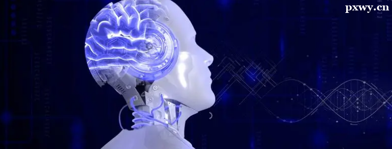 �����˹�������ѵ����Ǯ