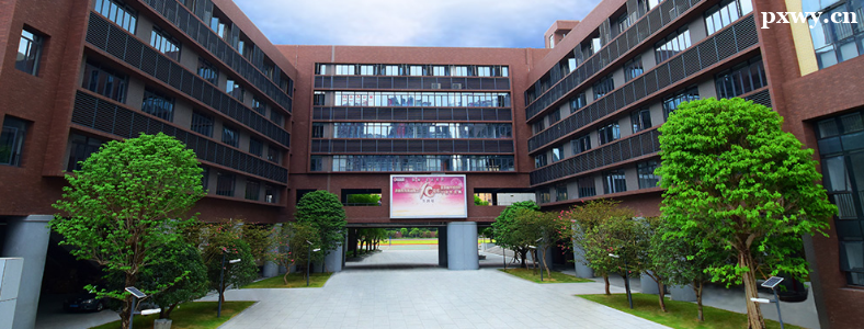 ���ڹ��ʸ�����������Ҫ��