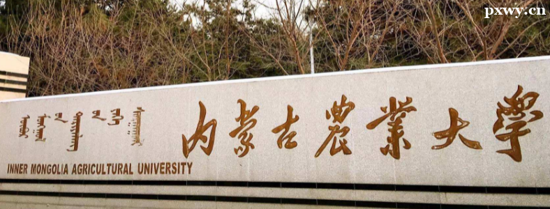 ��ũѧ���о�����ʲô��Ŀ