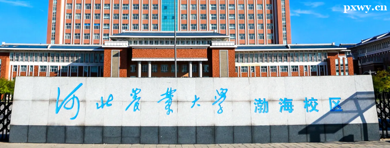 ũѧרҵ���з���