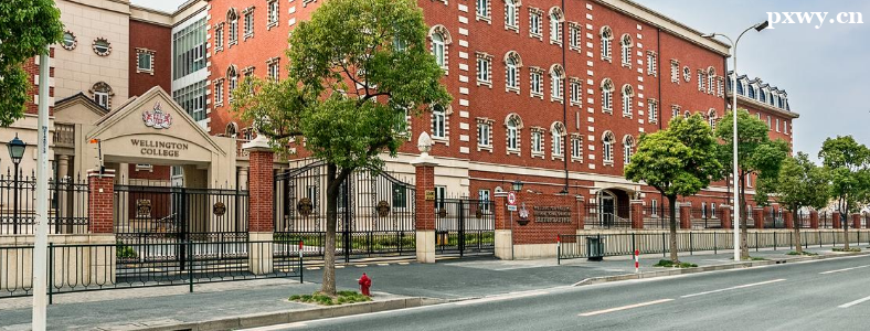 ���ݹ��ʸ��в������������